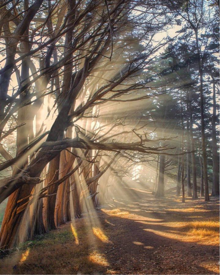 Miramar Beach Home Walk To Beach Trails Restaurants Family Activities Half Moon Bay Εξωτερικό φωτογραφία