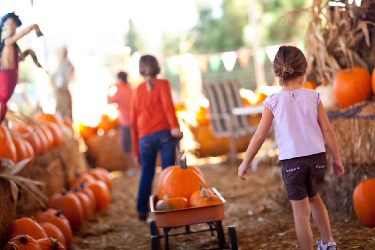 Miramar Beach Home Walk To Beach Trails Restaurants Family Activities Half Moon Bay Εξωτερικό φωτογραφία