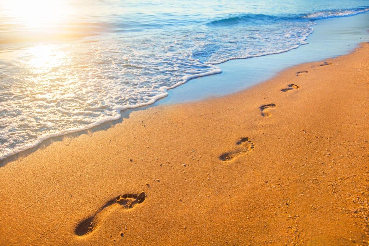 Miramar Beach Home Walk To Beach Trails Restaurants Family Activities Half Moon Bay Εξωτερικό φωτογραφία
